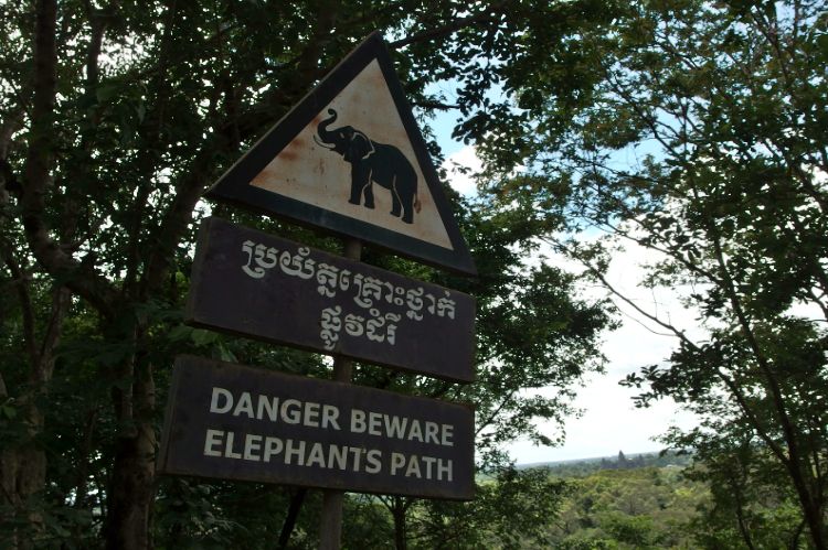 Angkor_World_Heritage_30_750x499