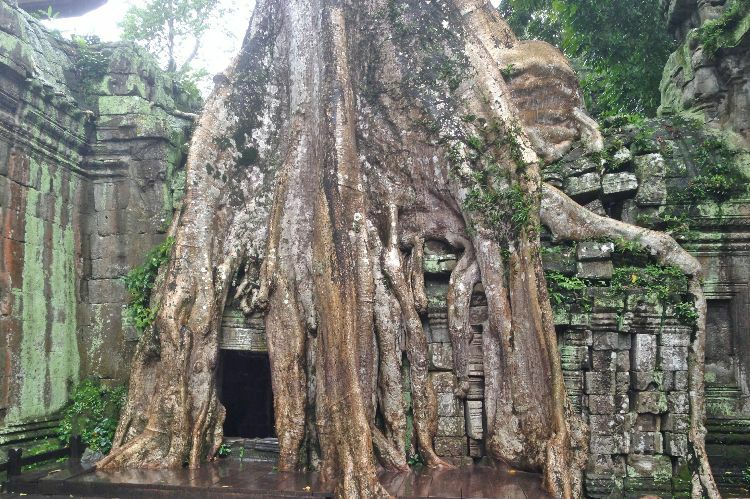 Angkor_World_Heritage_59a_750x499