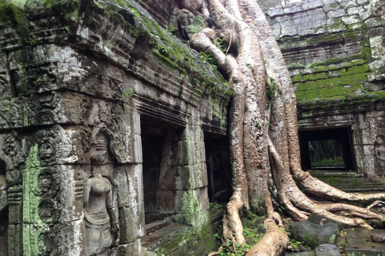 Angkor_World_Heritage_61_750x499